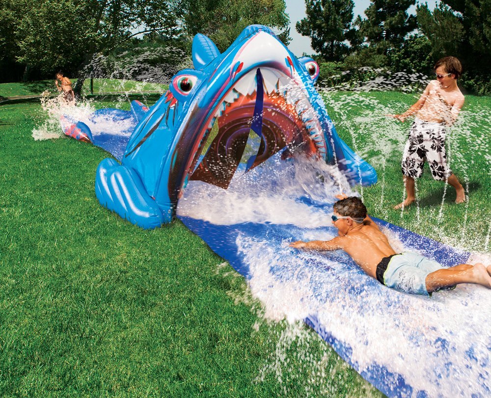 slip[ and slide shark